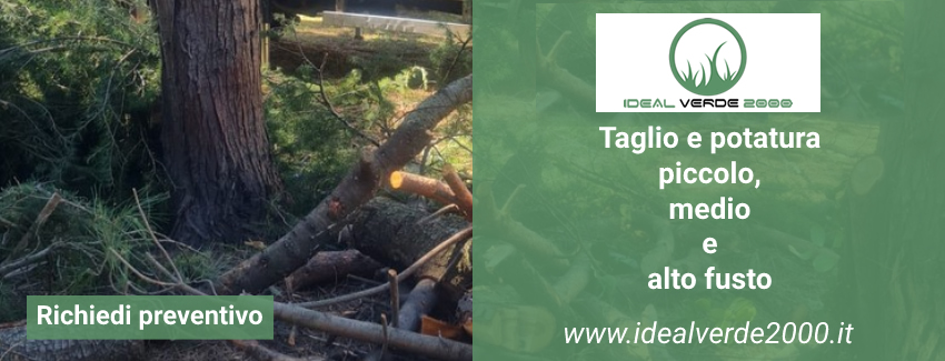 Richiedi info per taglio alto fusto Paderno Dugnano a {_x4_} Ideal Verde 2000